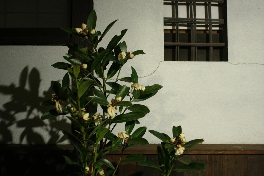Osaka Guest House Drummer'S Dream Sakai  Room photo